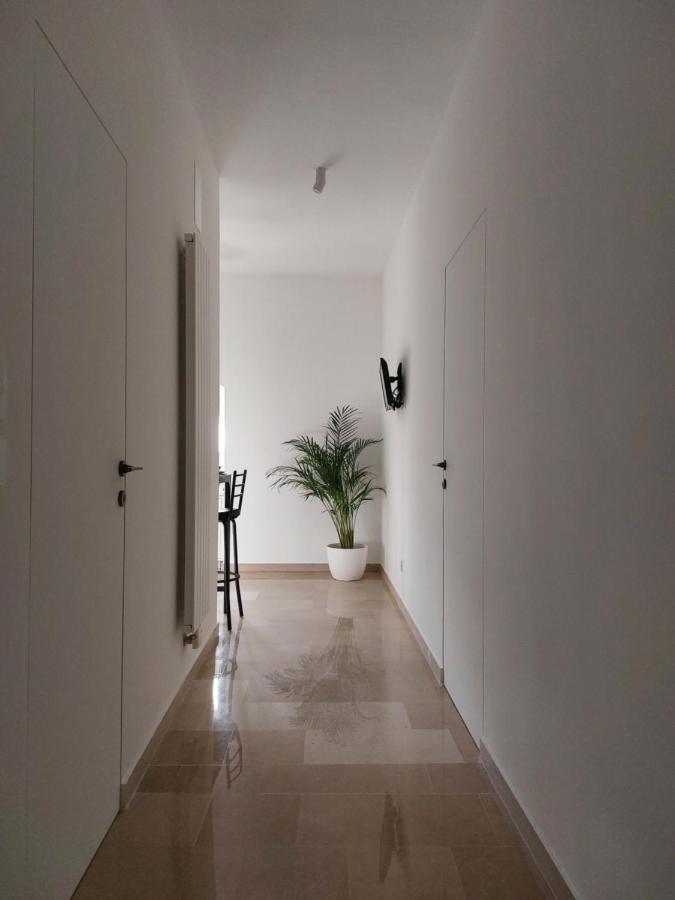 Palazzo Accinni B&B モノーポリ エクステリア 写真